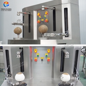 Máquina Peladora de Coco Automática FXP-YZ-II, Peladora Comercial de Coco Marrón Kelapa, Acero Inoxidable 304, Alta Calidad para Frutas y Verduras - Product Image 3