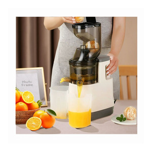 Exprimidor automático de extracción de frutas y verduras puras para el hogar comercial de 500W - Product Image 1