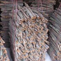Cannelle de Cassia Séchée Pressée Personnalisée en Gros – Bâtonnets Entiers de Haute Qualité, Poudre et Épices Piquantes – Prix Direct