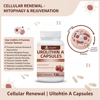 Capsules d'Urolithine A en marque privée, soutien mitochondriel, énergie cellulaire, complément alimentaire, fabricant OEM