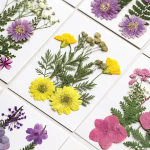 8 adet/paket DIY zanaat yüz dekorasyon düğün mum reçine epoksi malzeme preslenmiş çiçek kombinasyonu