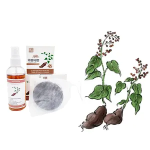 Huile d'essence de polygonum naturelle de Offres Spéciales la Somalie brûlant la teinture réparant le fluide nourrissant de cheveux