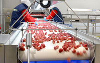 Máquina de congelación rápida industrial de alta calidad ZSTR/máquina de congelación rápida IQF/congelador criogénico de alimentos de túnel rápido