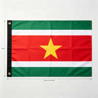 Drapeau national du Suriname 3x5 pieds 100% polyester, bannière extérieure, impression de logo personnalisée, drapeau de pays économique, pour festivals et défilés, approvisionnement en gros