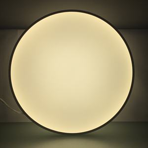 Lumière ronde LED à EN-RH38-250U directe <span class=keywords><strong>et</strong></span> indirecte ultra lumineuse de <span class=keywords><strong>style</strong></span> nordique à lumens élevés pour le salon - Product Image 2