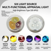 Lampe torche d'inspection UV rechargeable 6 LED en acier inoxydable, portable, faisceau spot réglable, IP55 pour usage industriel