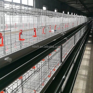 Poulailler pour poules pondeuses Conception de ferme avicole <span class=keywords><strong>Cage</strong></span> verticale automatique pour poules pondeuses de type H - Product Image 1