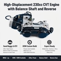 Moteur complet 230cc GY6 CVT monocylindre refroidi par air avec arbre d'équilibrage et marche arrière pour Buggy, VTT et Moto, faible MOQ