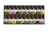 Ensemble d'huiles essentielles 100% naturelles à la lavande, à la menthe, à l'eucalyptus et au bois de santal, 10 ml, ensemble cadeau d'aromathérapie pour la diffusion