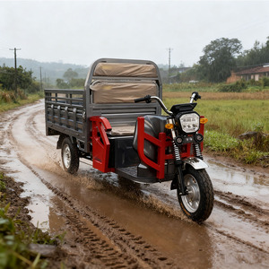 Meilleure vente <span class=keywords><strong>1500W</strong></span> Tricycle électrique de fret avec 2 passagers 72V voiture à trois roues motorisée disponible Types de carrosserie ouverte vente - Product Image 2