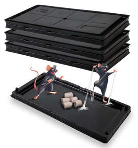 Trampa de Pegamento <span class=keywords><strong>para</strong></span> <span class=keywords><strong>Ratones</strong></span>, Tablero Adhesivo de Plástico Fuerte, <span class=keywords><strong>Repelente</strong></span> de <span class=keywords><strong>Ratones</strong></span>, Ecológico, Desechable, <span class=keywords><strong>para</strong></span> el Control de <span class=keywords><strong>Ratones</strong></span> en Hogares y Cocinas - Product Image 1