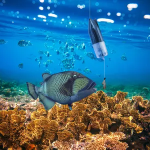 방수 얼음 낚시 물고기 찾기 HD 비디오 물고기 캠 65ft 낚시 수중 카메라 얼음 낚시를위한 사이클 기록