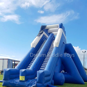 Tobogán Acuático Inflable Gigante Comercial para Parque <span class=keywords><strong>de</strong></span> Atracciones, Tobogán Acuático Inflable para Parque Acuático, Tobogán con Piscina para Venta - Product Image 2
