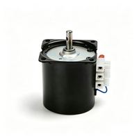 Moteur synchrone monophasé à montage sur panneau, moteur électrique compact 28W 30RPM 50Hz/60Hz pour panneaux de commande, équipement d'automatisation