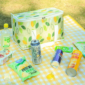Bolsa Térmica Aislada de 16L con Asa para Almacenamiento de Alimentos para Picnic y Camping al Aire Libre - Product Image 3