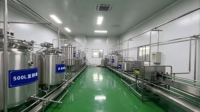 Ligne de production de yaourt entièrement automatique de 200 L, machine de transformation du lait à petite échelle pour la fabrication de yaourt