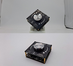 Carte d'amplification audio XINYI Sini XY-AP100H TPA3116, module amplificateur de puissance numérique stéréo HIFI 100W - Product Image 5