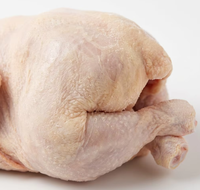 Pollo Entero Congelado Halal al por Mayor, Pollo Entero Congelado para Exportación, Desplumado y Limpiado, Carne de Aves