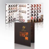 Nuancier de Couleurs de Cheveux Blondes OEM Europe Marque Privée 90 Couleurs Nuancier de Couleurs de Cheveux Crème Glacée Teinture pour Cheveux
