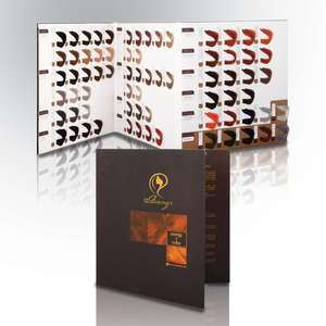 Nuancier de Couleurs de Cheveux Blondes OEM Europe Marque Privée 90 Couleurs Nuancier de Couleurs de Cheveux Crème Glacée Teinture pour Cheveux - Product Image 3