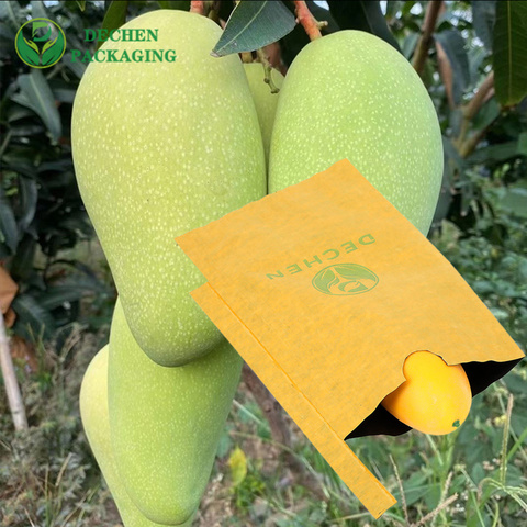 Mango Paper Bag Fruit Protection Bags Near Me Mango Paper Bag Fruit Protection Bags Near Me