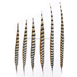Plumas de cola de faisán Reeves natural, <span class=keywords><strong>10</strong></span>-160cm, venta al por mayor - Product Image 2
