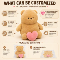 Services OEM/ODM : Ours en peluche avec fonction d'enregistrement vocal, figurines et mascottes personnalisées sur mesure basées sur votre conception.