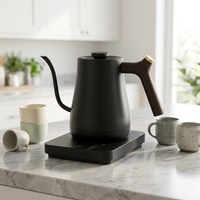 Bouilloire sans fil en acier inoxydable à col de cygne avec couvercle, maintien au chaud, pour café, 800 ml, pour usage domestique