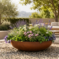Bac à feu minimaliste en acier corten, pot de fleurs, bol à eau, décoration de jardin intérieur et de patio, résistant à la corrosion