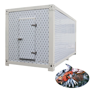 ห้องเย็นเคลื่อนที่แบบกำหนดเองสำหรับขายส่ง - Product Image 3