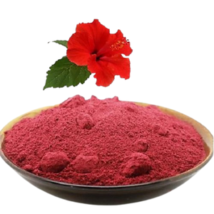 Polvo Herbal de Hibisco Premium, Extracto de Flor Natural Puro, Mezcla Botánica Finamente Molido, Ingrediente a Base de Plantas para Usos Herbales - Product Image 3