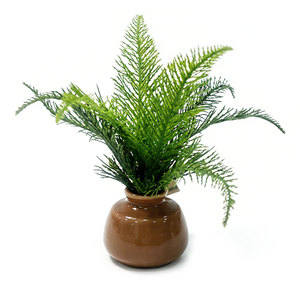 Maceta de Cerámica Premium con Hojas de <span class=keywords><strong>Ciprés</strong></span> <span class=keywords><strong>Llorón</strong></span> Chino y Tierra Negra Rica en Nutrientes para Bonsáis de Interior y Plantas Artificiales - Product Image 1