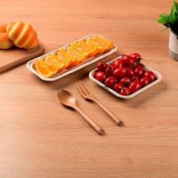 Eco Green Square Bagasse Biologisch afbreekbare herbruikbare wegwerp fruitbak