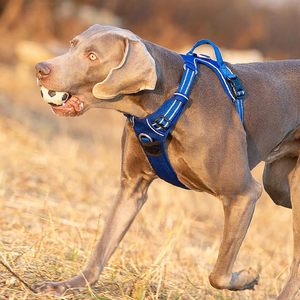 Outdoor Gear 3M Reflective Nylon Washable Breathable Adjustable No Choke Durable <b>Pet</b> <b>Harness</b> and Leash Set for Dogs - Product Image 5