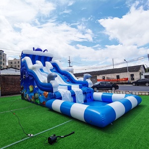 Commercial Inflatable PVC Water <strong>Slide</strong> with <strong>Swimming</strong> <strong>Pool</strong> for Kids &amp; Adults Double Lane Customizable Color &amp; Logo Custom Size - Product Image 3