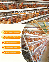 Batterie de Cages pour Poules Pondeuses