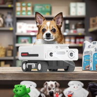 KI-Haustierroboter Rechteckig Beweglich Interaktives Sportspielzeug für Hunde und Katzen Intelligente Hindernisvermeidung Extrem Lange Akkulaufzeit