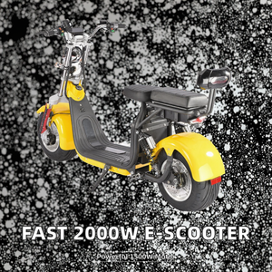 Scooter Eléctrico <span class=keywords><strong>Wolverine</strong></span> de 1500W con Motor Rápido de 60v, Neumático de 10 Pulgadas, Potencia de 1500W, Vehículo Eléctrico Inteligente Citycoco de Dos Ruedas - Product Image 2