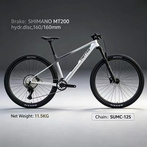 Bicicleta de Montaña de Carbono de Alto Módulo con Frenos de Disco Hidráulicos para Adultos, Modelo TW-M10 1, 29/27.5 Pulgadas, Elección Reconocida - Product Image 1