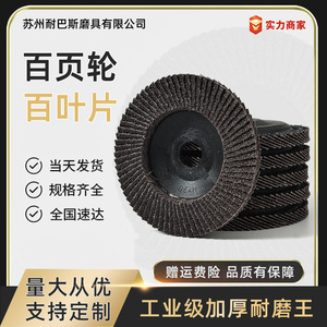 JINNIU Meule plate de 100 mm, largeur de face de 1 pouce, abrasif grossier, alumine calcinée, dureté K, disque de polissage - Product Image 5