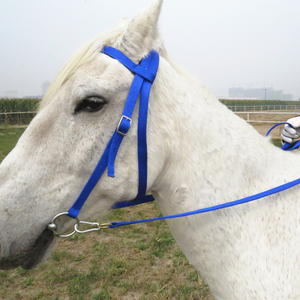 Horshi en stock Caballo Ecuestre Ajustable Nylon Caballo Brida Cabestro, Negro. Rojo. Azul. renis - Product Image 3