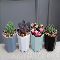Pot de fleurs en plastique en gros, 10 cm, en résine épaissie, pour décoration intérieure, balcon, salon