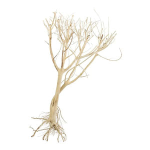 Stevige Duurzame Boomtak Gemakkelijk Schoon Te Maken <span class=keywords><strong>Diy</strong></span> <span class=keywords><strong>Aquarium</strong></span> Mos Tree Hoge Kwaliteit <span class=keywords><strong>Aquarium</strong></span> Drijfhout - Product Image 6