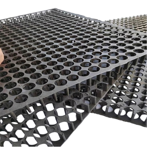 Panneau <span class=keywords><strong>de</strong></span> drainage <span class=keywords><strong>en</strong></span> plastique noir HDPE 500x500 verdissement plante filtre à eau isolation <span class=keywords><strong>de</strong></span> toit jardin tapis <span class=keywords><strong>de</strong></span> pelouse <span class=keywords><strong>plaque</strong></span> <span class=keywords><strong>de</strong></span> drainage <span class=keywords><strong>de</strong></span> lit routier - Product Image 2