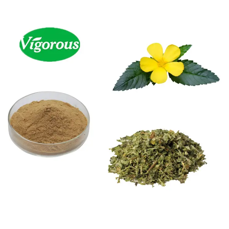Reliable Quality Damiana Leaf Extract Powder 10:1 Wholesale Price