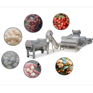 Línea de producción de lichi, deshuesado, latas para pelar Paquete de lata en almíbar, lichi enlatado, longan enlatado y frutas secas
