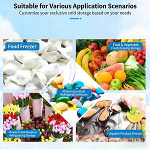 Ruang Pendingin Ikan Mobile Berkualitas Tinggi Berbagai Ukuran Pendingin Portabel - Product Image 5