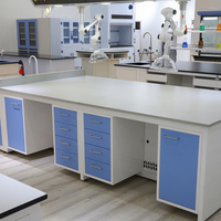 Table de laboratoire moderne en métal avec armoire - Mobilier de laboratoire pour écoles et hôpitaux