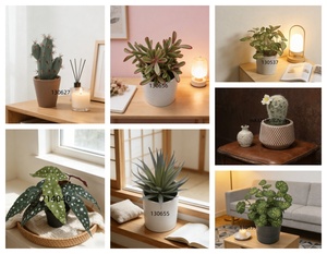 Planta Artificial de <span class=keywords><strong>Echeveria</strong></span> en Maceta de Cerámica de 7 Capas, Ecológica y Duradera, con Tierra Artificial para Decoración del Hogar y Oficina - Product Image 4