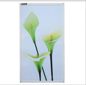 Panel <span class=keywords><strong>de</strong></span> Calefacción Eléctrico Infrarrojo <span class=keywords><strong>de</strong></span> Cristal <span class=keywords><strong>de</strong></span> Carbono <span class=keywords><strong>de</strong></span> Grafeno para Pared <span class=keywords><strong>de</strong></span> Habitación con Pantalla Plegable, Panel Calefactor <span class=keywords><strong>de</strong></span> Plástico Independiente - Product Image 1